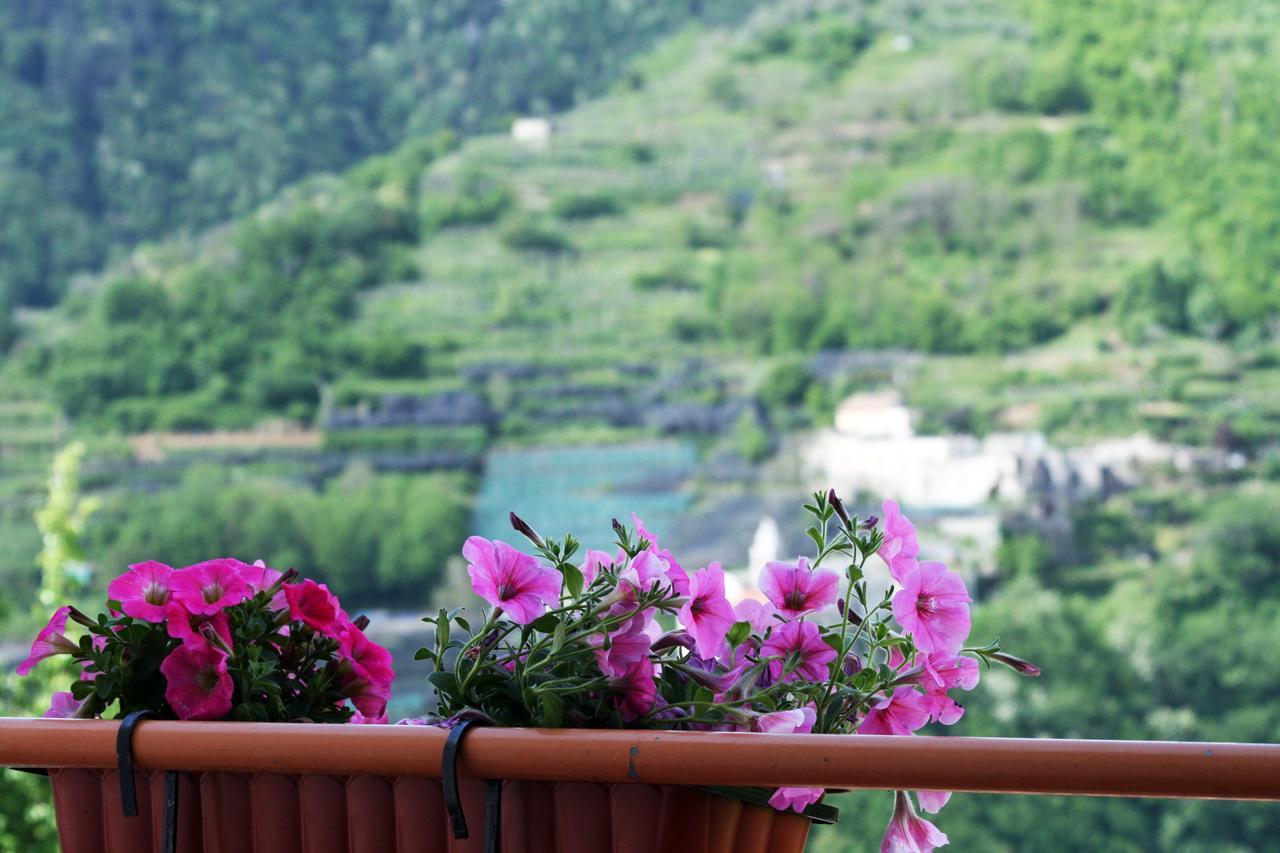 Bed and Breakfast Tra I Monti Tramonti Exteriér fotografie